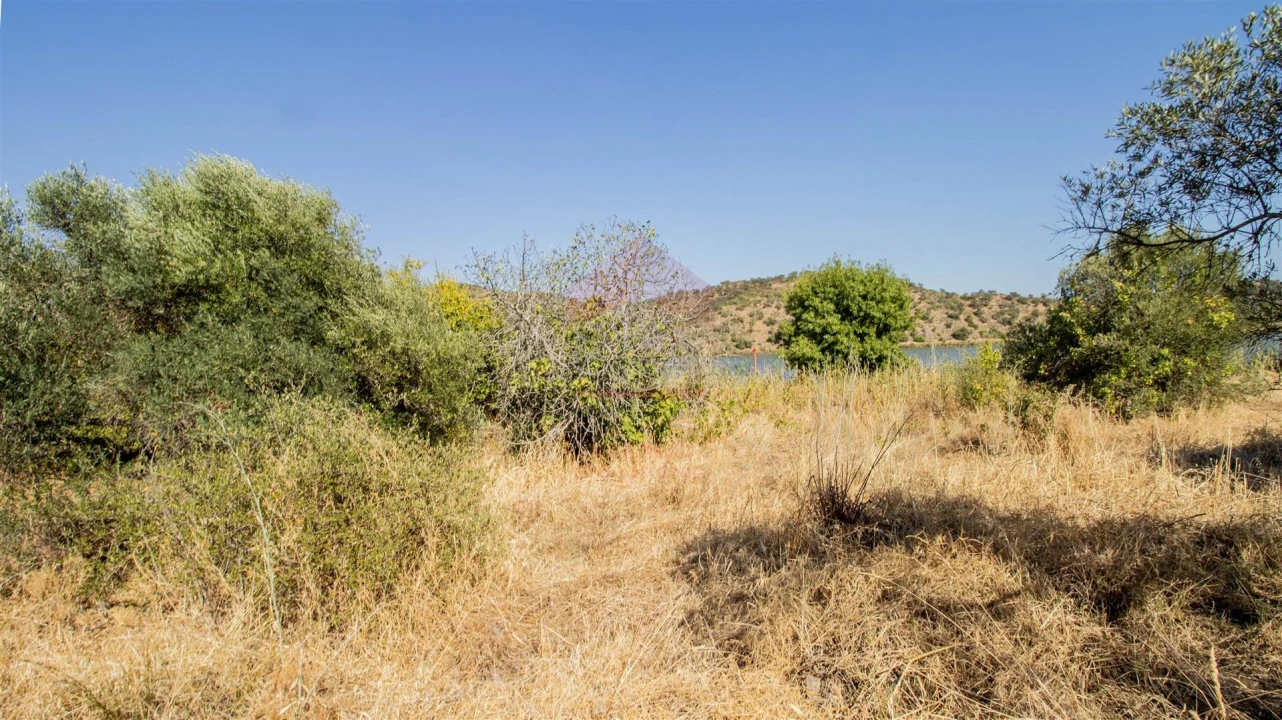 Terreno Agricola ou Rústico para Venda em Odeleite Foto 5