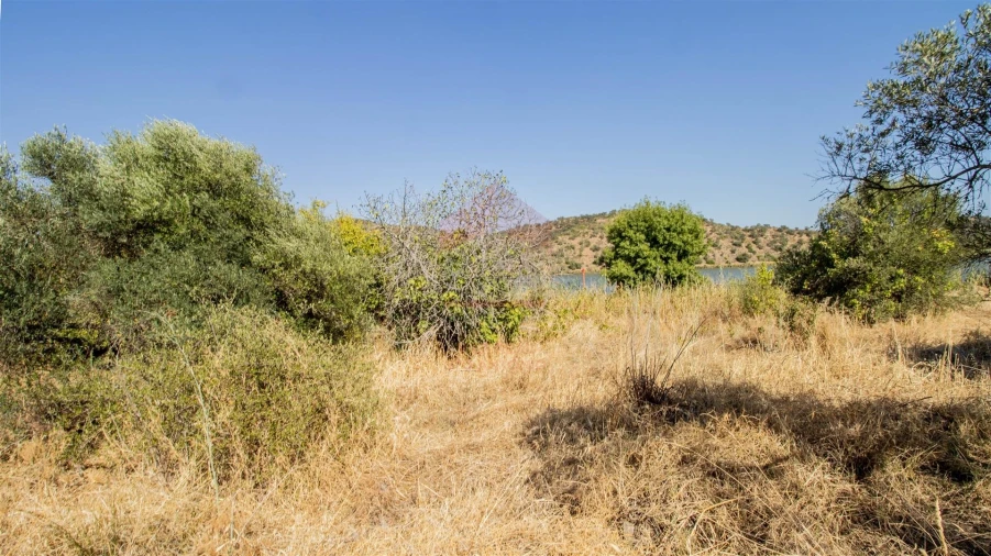 Terreno Agricola ou Rústico para Venda em Odeleite Foto 5