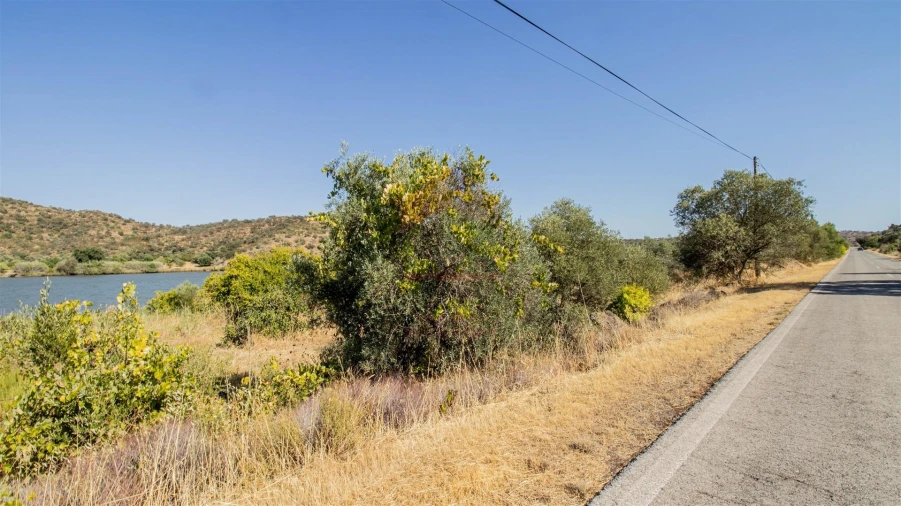 Terreno Agricola ou Rústico para Venda em Odeleite Foto 3