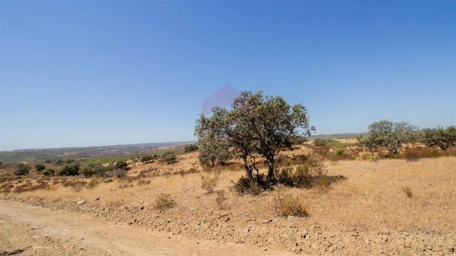 Terreno Agricola ou Rústico para Venda em Odeleite Foto 5