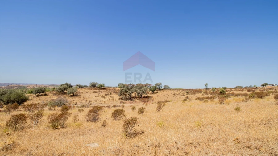 Terreno Agricola ou Rústico para Venda em Odeleite Foto 2