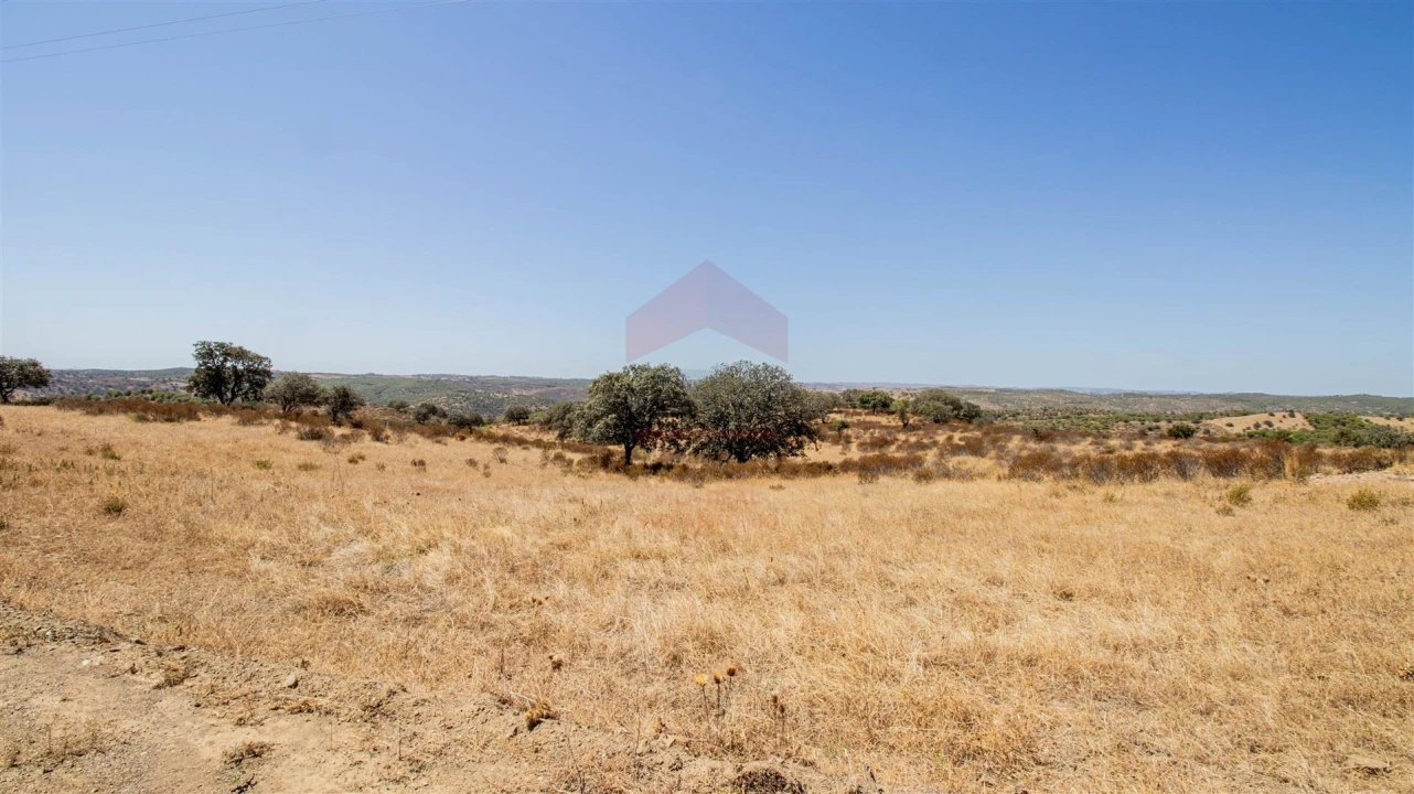 Terreno Agricola ou Rústico para Venda em Odeleite Foto 6