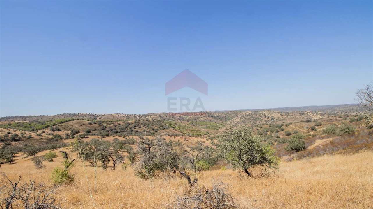 Terreno Agricola ou Rústico para Venda em Alcoutim e Pereiro Foto 1