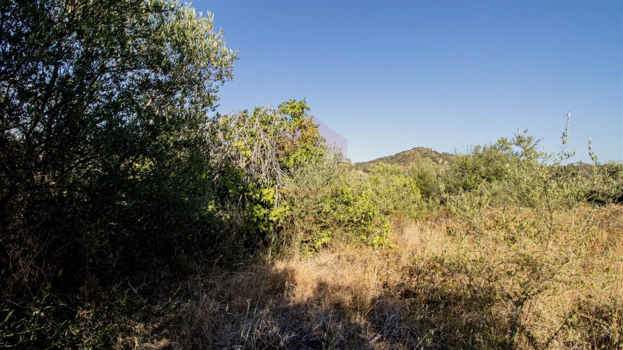 Terreno Agricola ou Rústico para Venda em Alcoutim e Pereiro Foto 3