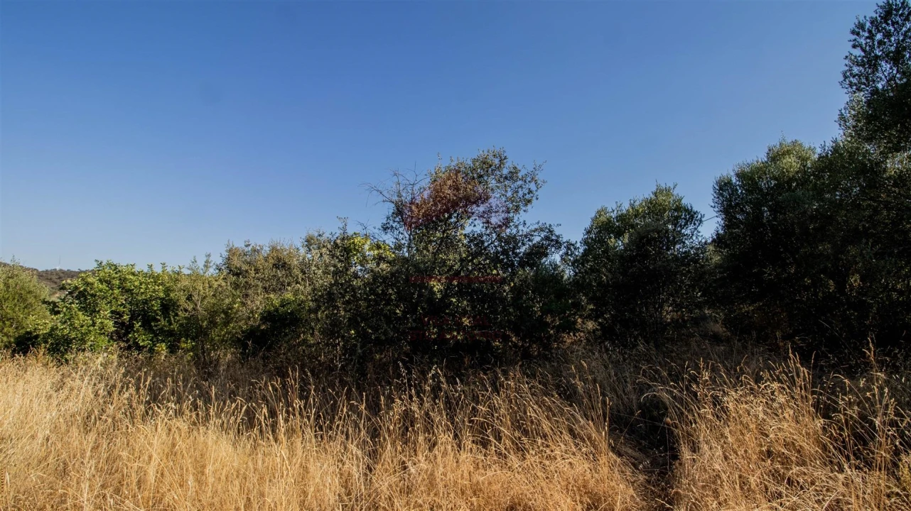 Terreno Agricola ou Rústico para Venda em Alcoutim e Pereiro Foto 4
