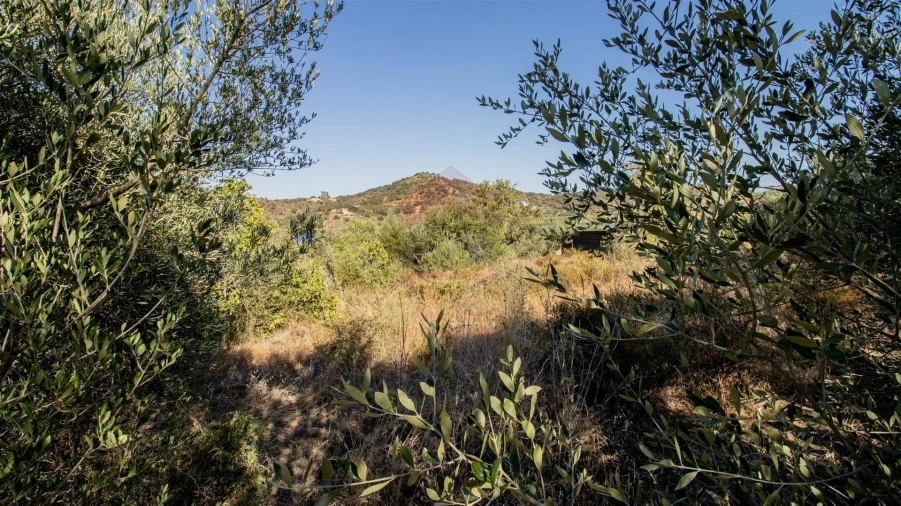 Terreno Agricola ou Rústico para Venda em Alcoutim e Pereiro Foto 5