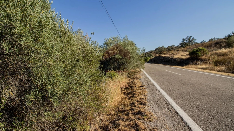 Terreno Agricola ou Rústico para Venda em Alcoutim e Pereiro Foto 2