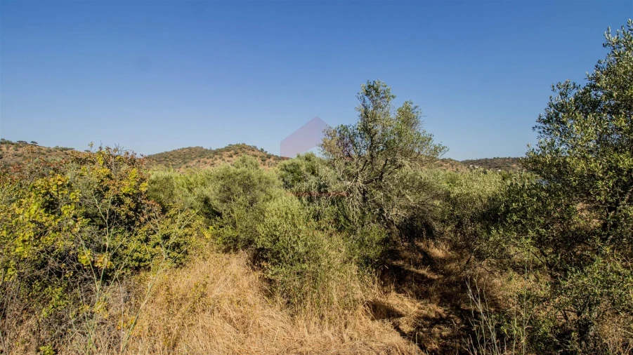 Terreno Agricola ou Rústico para Venda em Alcoutim e Pereiro Foto 2