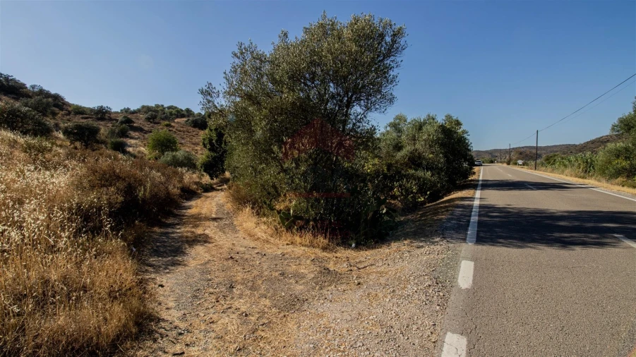 Terreno Agricola ou Rústico para Venda em Alcoutim e Pereiro Foto 3