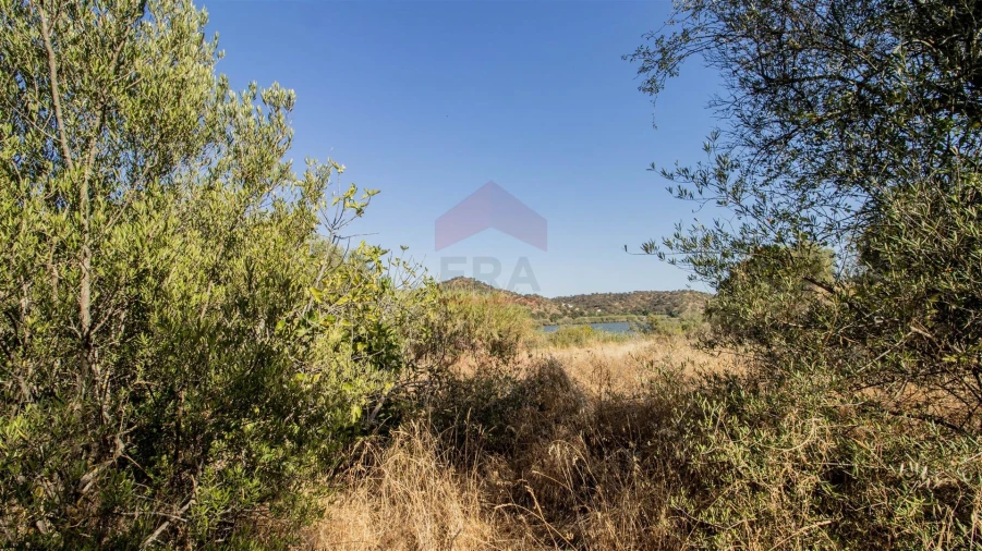 Terreno Agricola ou Rústico para Venda em Alcoutim e Pereiro Foto 5