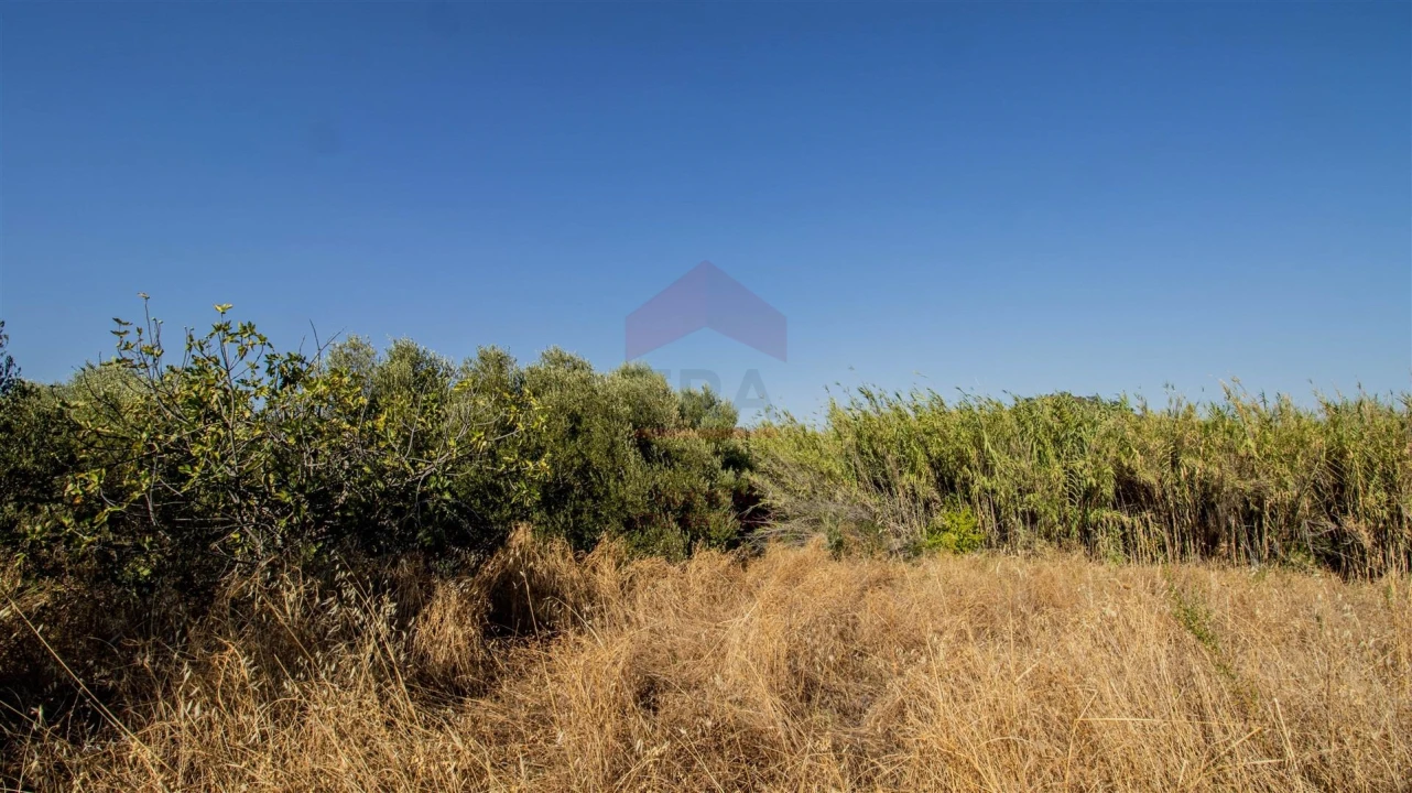 Terreno Agricola ou Rústico para Venda em Alcoutim e Pereiro Foto 7