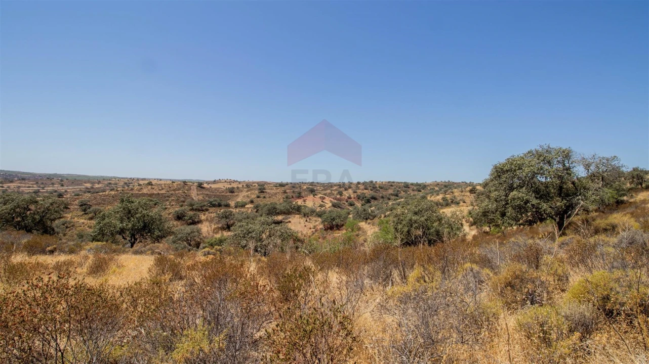 Terreno Agricola ou Rústico para Venda em Odeleite Foto 5