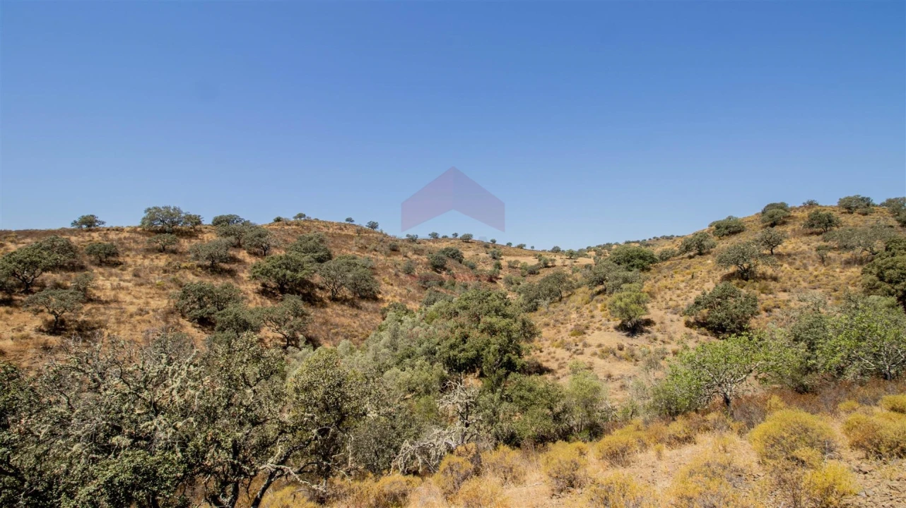 Terreno Agricola ou Rústico para Venda em Odeleite Foto 2