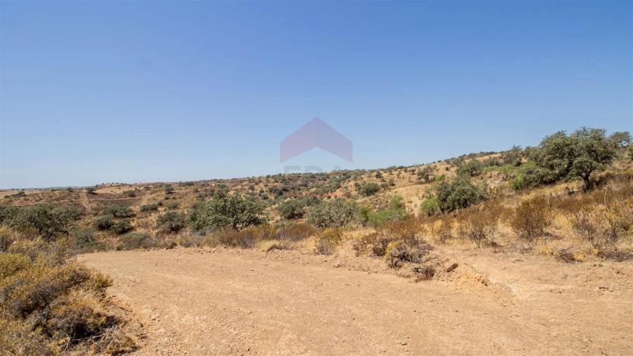 Terreno Agricola ou Rústico para Venda em Odeleite Foto 7