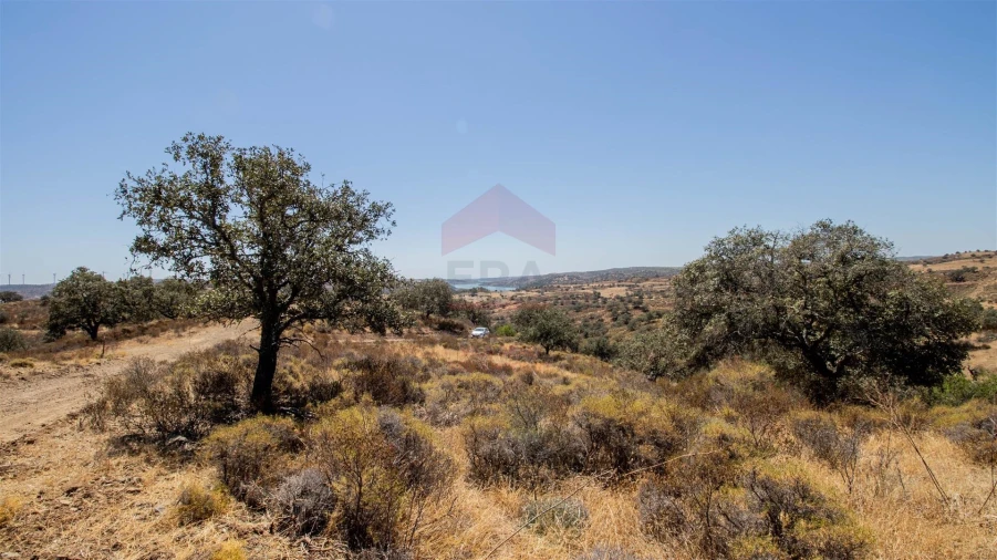 Terreno Agricola ou Rústico para Venda em Odeleite