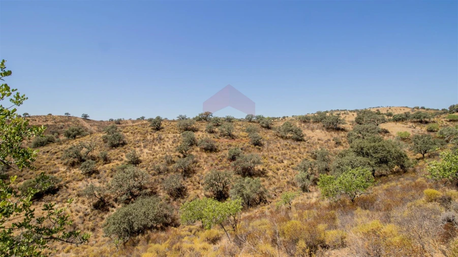 Terreno Agricola ou Rústico para Venda em Odeleite Foto 9
