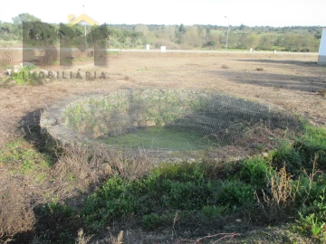 Terreno para Venda em Escalos de Cima e Lousa