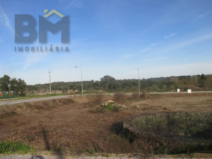 Terreno para Venda em Escalos de Cima e Lousa Foto 6