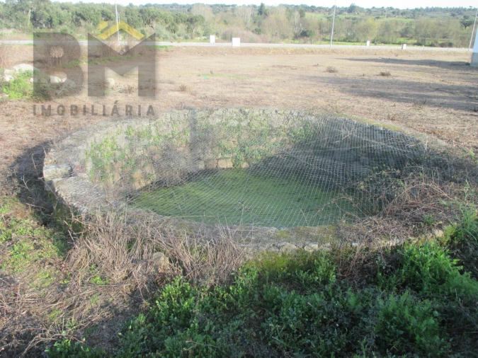 Terreno para Venda em Escalos de Cima e Lousa Foto 4