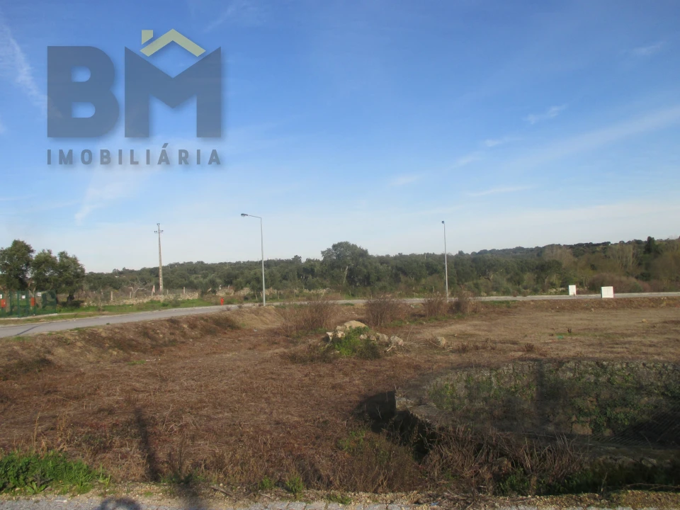 Terreno para Venda em Escalos de Cima e Lousa Foto 6