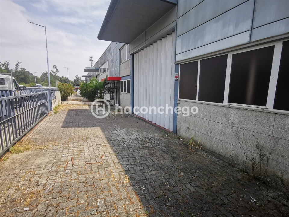 Armazém para Arrendamento em Tamel (São Verissimo) Foto 4