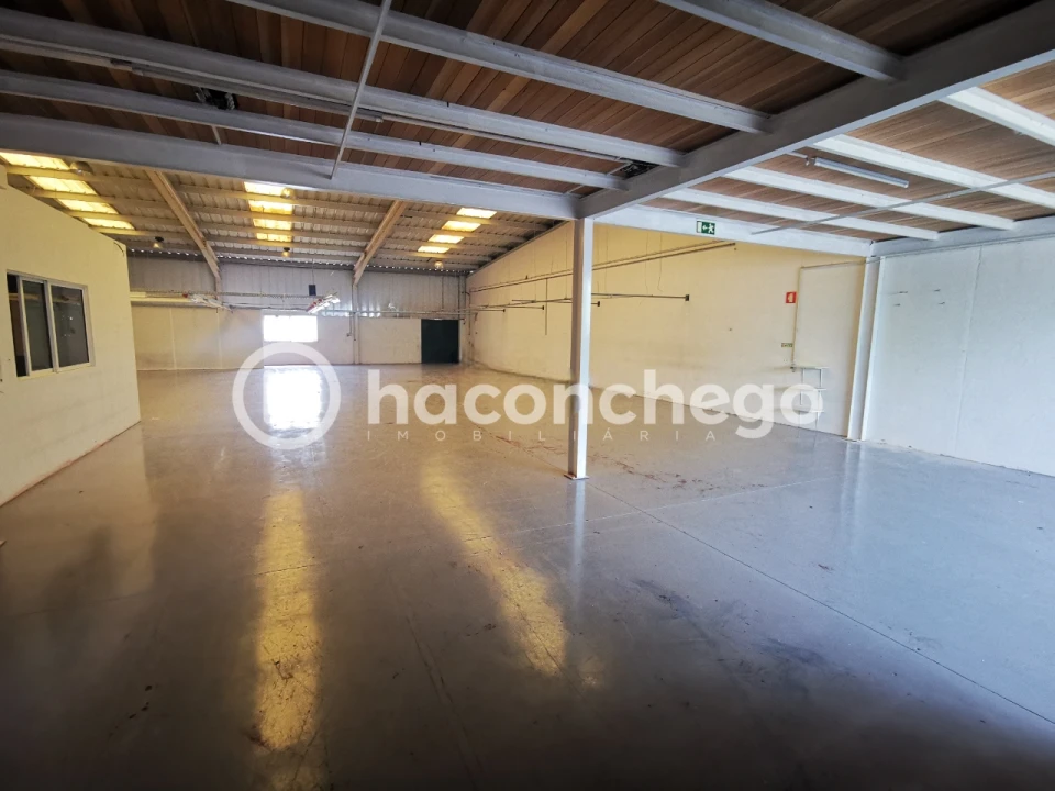 Armazém para Arrendamento em Tamel (São Verissimo) Foto 14