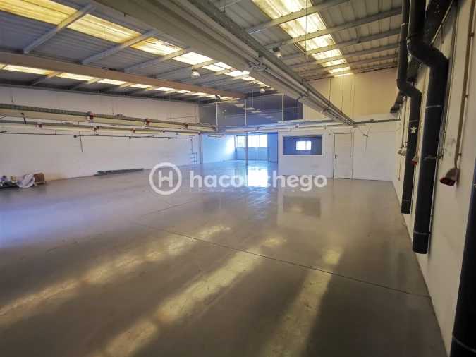 Armazém para Arrendamento em Tamel (São Verissimo) Foto 19