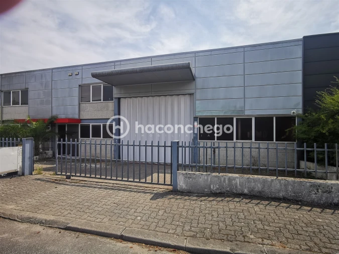 Armazém para Arrendamento em Tamel (São Verissimo) Foto 1