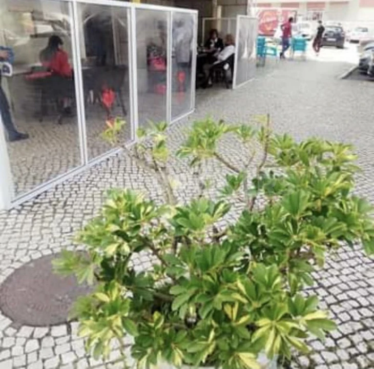 Negócio para Venda em Venteira Foto 5