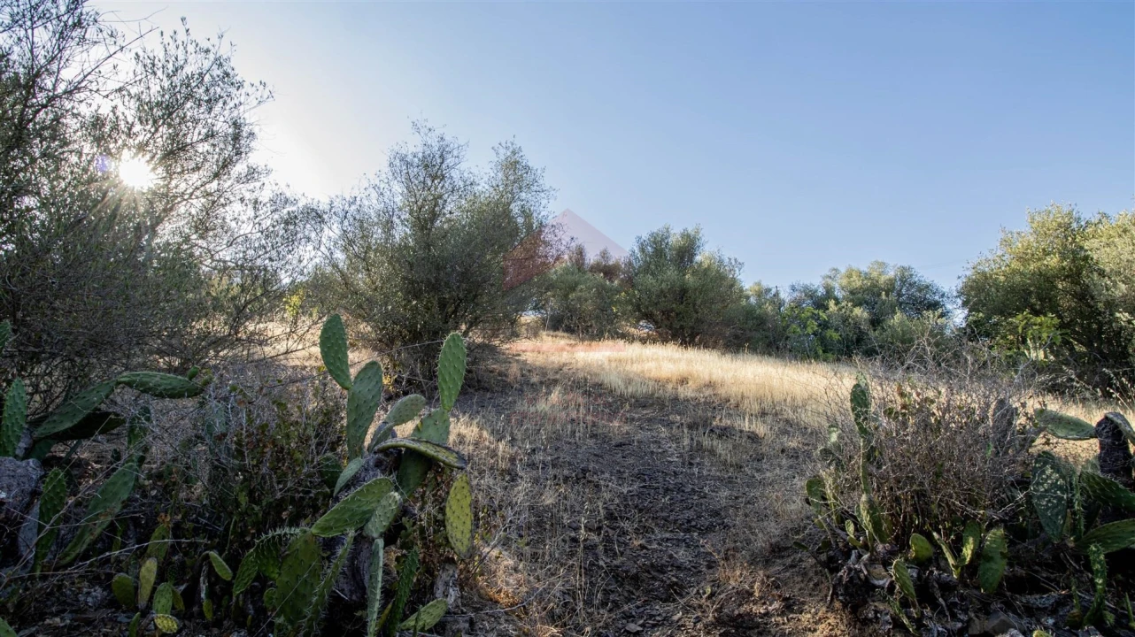 Terreno Agricola ou Rústico para Venda em Odeleite Foto 4