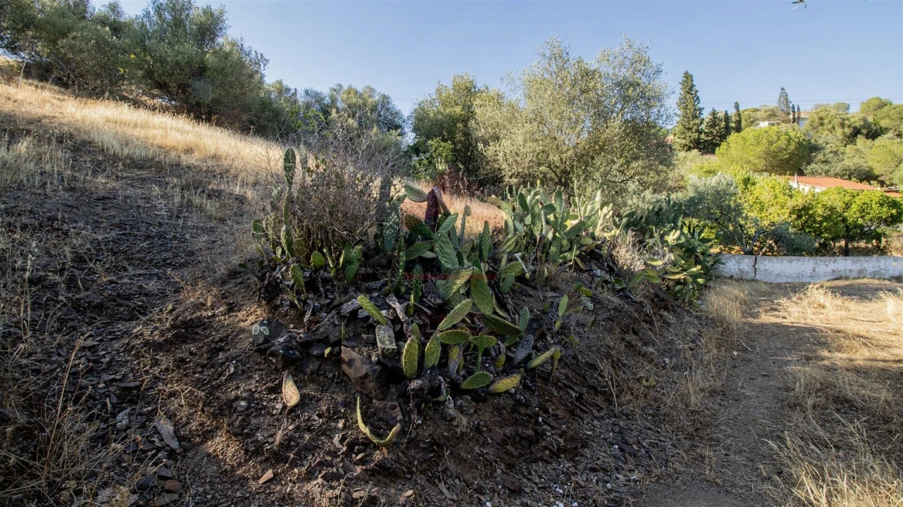 Terreno Agricola ou Rústico para Venda em Odeleite Foto 3