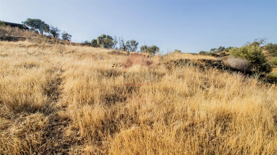 Terreno Agricola ou Rústico para Venda em Odeleite Foto 6