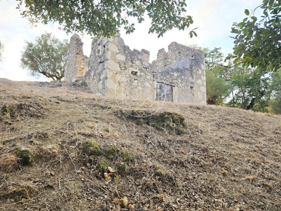 Terreno Misto para Venda em Torres Novas (São Pedro), Lapas e Ribeira Branca Foto 19