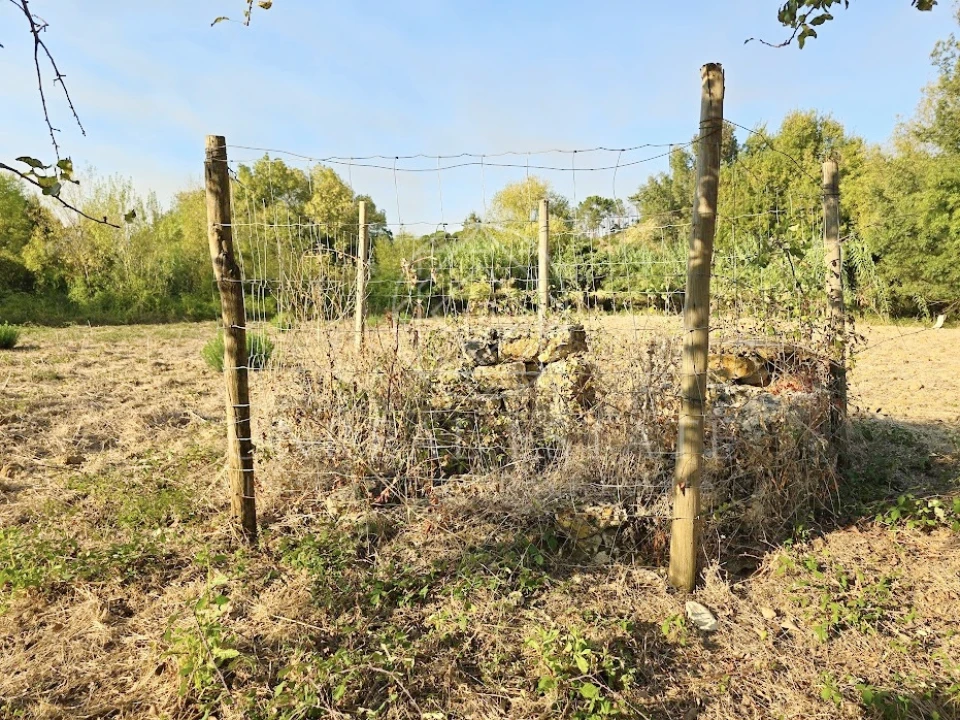 Terreno Misto para Venda em Torres Novas (São Pedro), Lapas e Ribeira Branca Foto 15