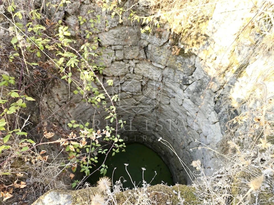 Terreno Misto para Venda em Torres Novas (São Pedro), Lapas e Ribeira Branca Foto 13