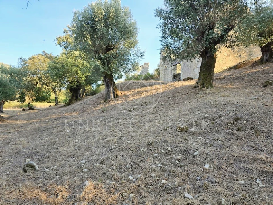 Terreno Misto para Venda em Torres Novas (São Pedro), Lapas e Ribeira Branca Foto 8