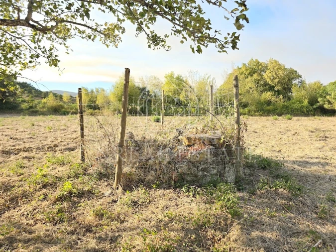 Terreno Misto para Venda em Torres Novas (São Pedro), Lapas e Ribeira Branca Foto 16