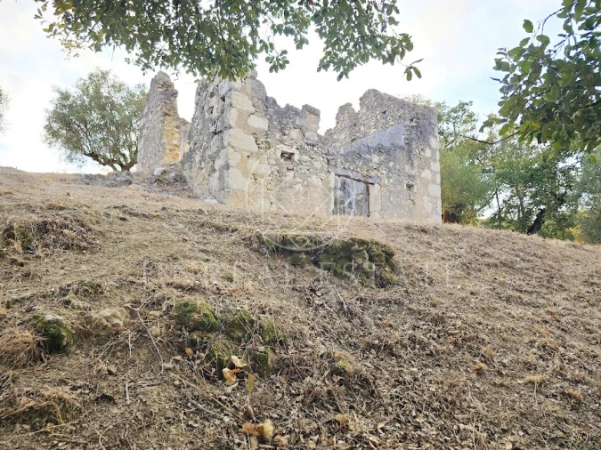 Terreno Misto para Venda em Torres Novas (São Pedro), Lapas e Ribeira Branca Foto 19