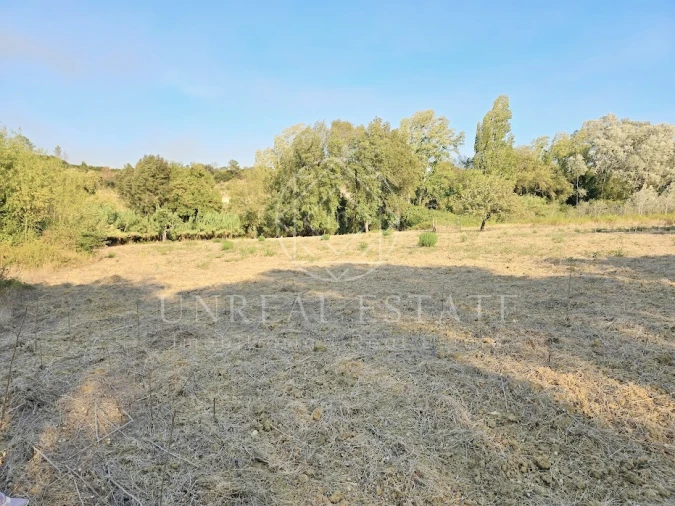 Terreno Misto para Venda em Torres Novas (São Pedro), Lapas e Ribeira Branca Foto 9