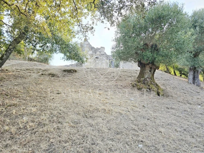 Terreno Misto para Venda em Torres Novas (São Pedro), Lapas e Ribeira Branca Foto 18