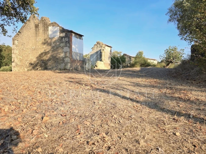 Terreno Misto para Venda em Torres Novas (São Pedro), Lapas e Ribeira Branca