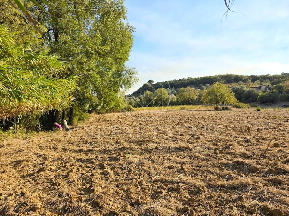 Terreno Misto para Venda em Torres Novas (São Pedro), Lapas e Ribeira Branca Foto 11