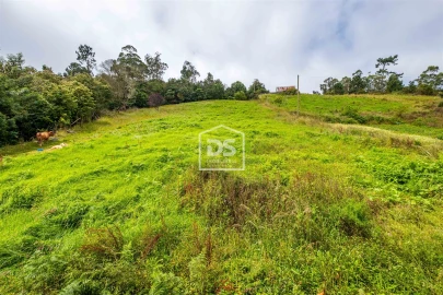 Terreno para Venda em Santana