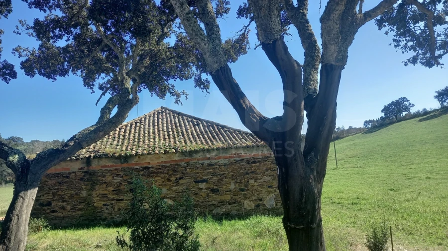Terreno para Venda em Cercal Foto 6