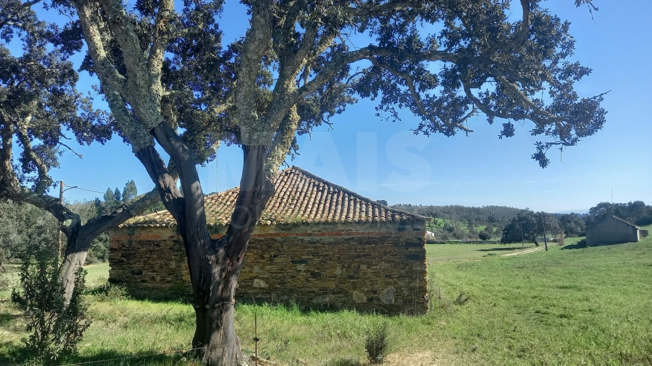 Terreno para Venda em Cercal Foto 10