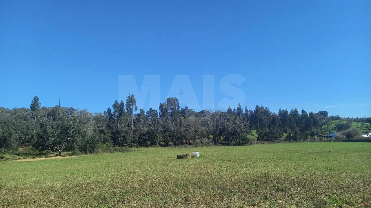 Terreno para Venda em Cercal Foto 5