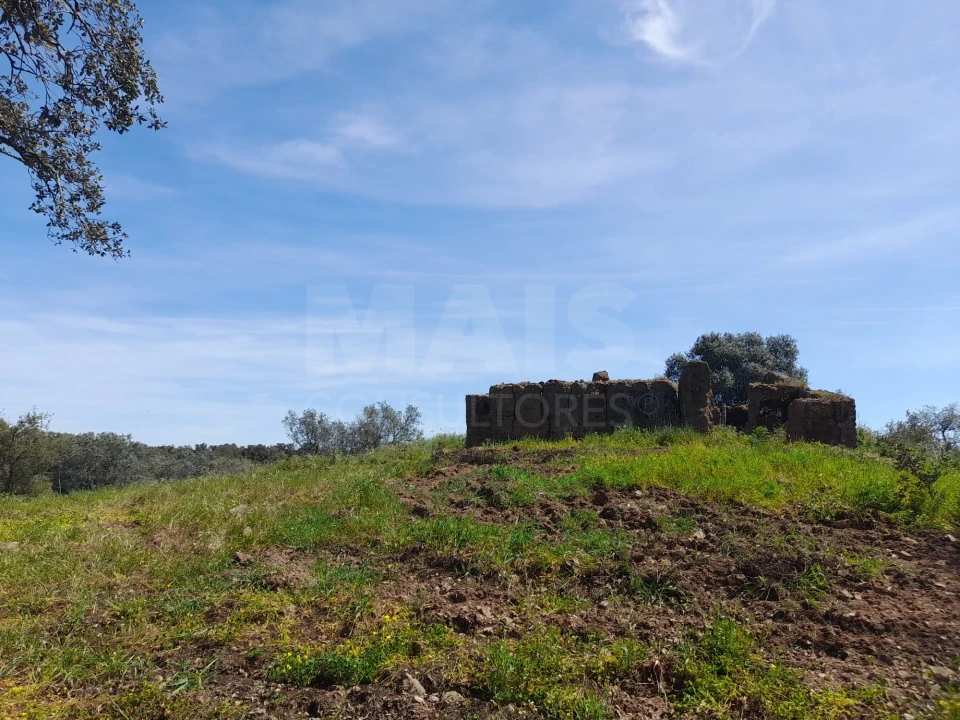 Terreno para Venda em Melides Foto 5