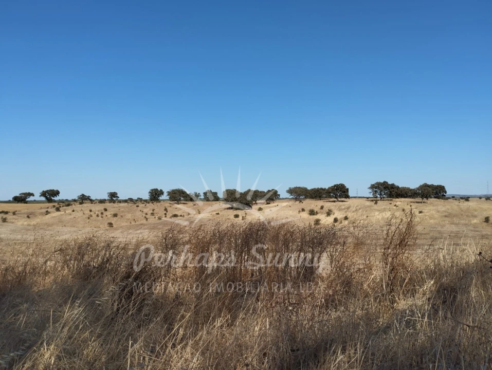 Quinta T1 para Venda em Alvalade Foto 6