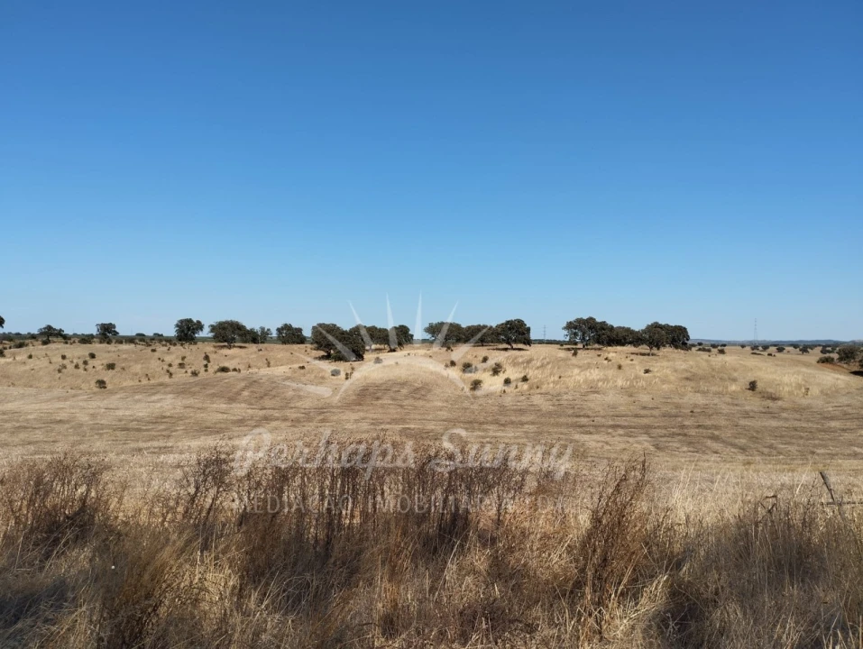 Quinta T1 para Venda em Alvalade Foto 12