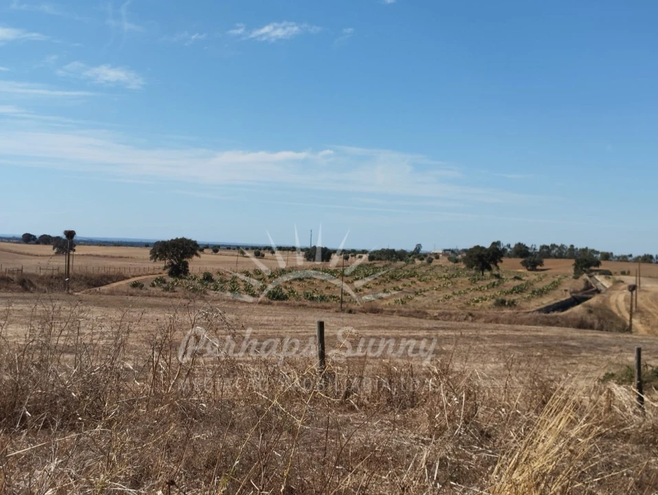 Quinta T1 para Venda em Alvalade Foto 14